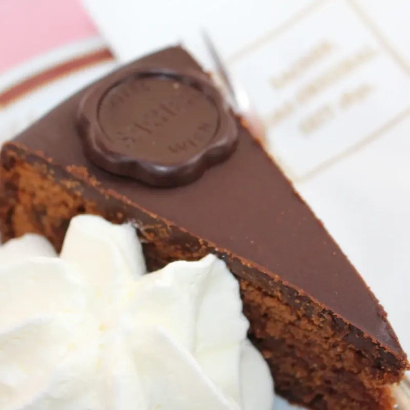 a piece of chocolate cake on a paper plate